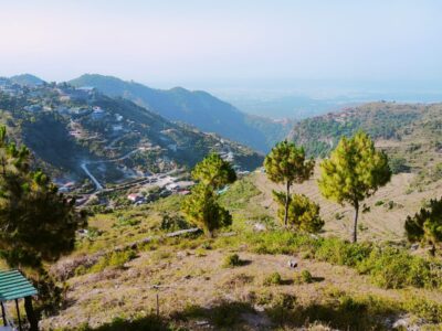 8 Bigha land for sale in mussoorie